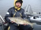 Kuha 2,28 kg