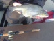 Lahna 1,50 kg
