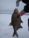 Lahna 2,65 kg