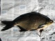 Lahna 850 g