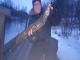 Made 1,80 kg
