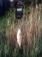 S�rki 220 g