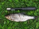 S�rki 390 g