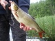 S�yne 520 g