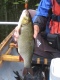 S�yne 1,00 kg