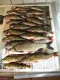 S�yne 350 g