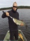 S�yne 1,91 kg