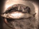 Siika 400 g