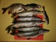 Sorva 400 g