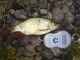 Sorva 220 g
