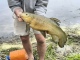 Suutari 3,00 kg