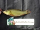 Suutari 25 g