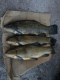 Suutari 2,30 kg