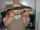 Taimen 1,20 kg