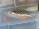 T�r� 20 g