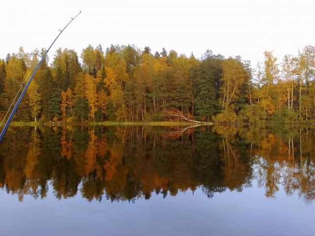 SYKSY