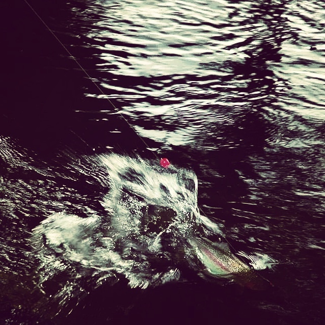 Kirre v��nt��