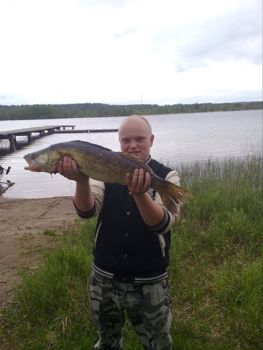 Kivan kokonen 4,6 kg