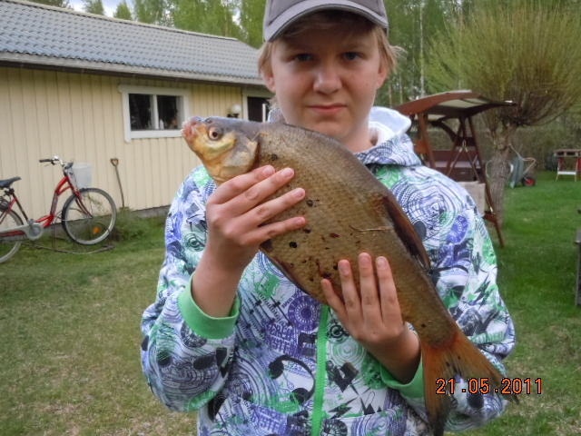 Enn�tys lahnani 1,25 kg