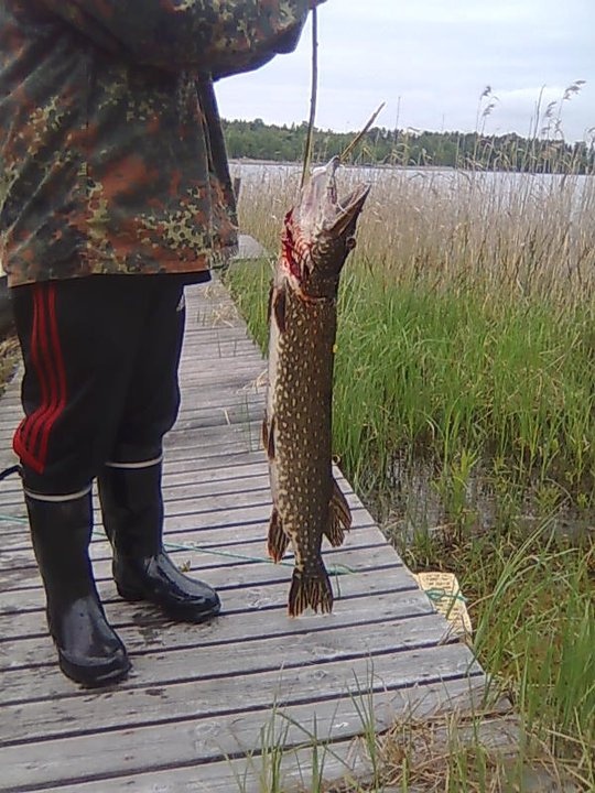 Kev�t-aamun kalareissun j�lkeist� riemua!  =) (4,1kg)