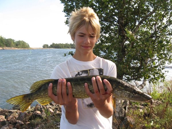 Saamani 2kg hauki Stora Br�nd�st�