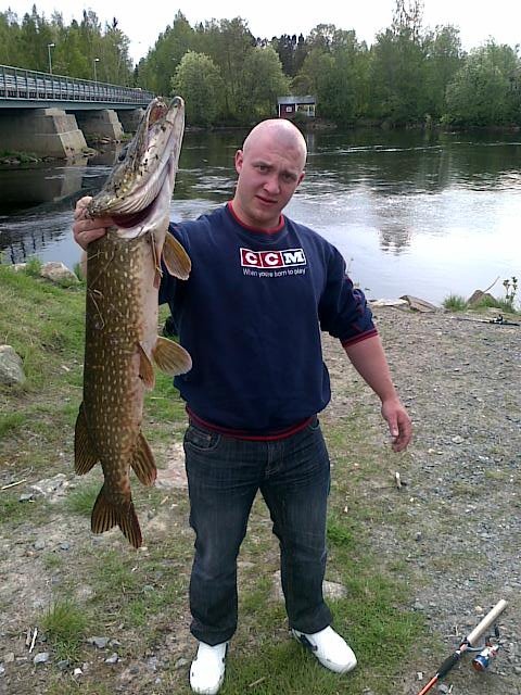 4kg hauki. Kokkola, R�ds�n.