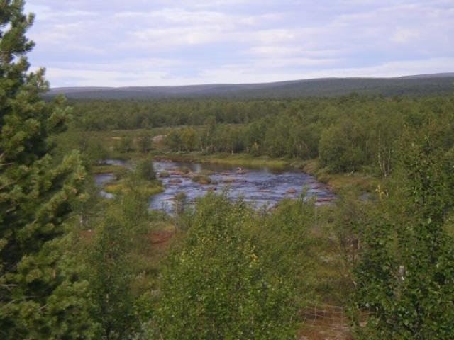 Kaamasjoki