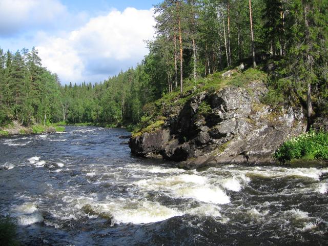 Kuusinkijoki