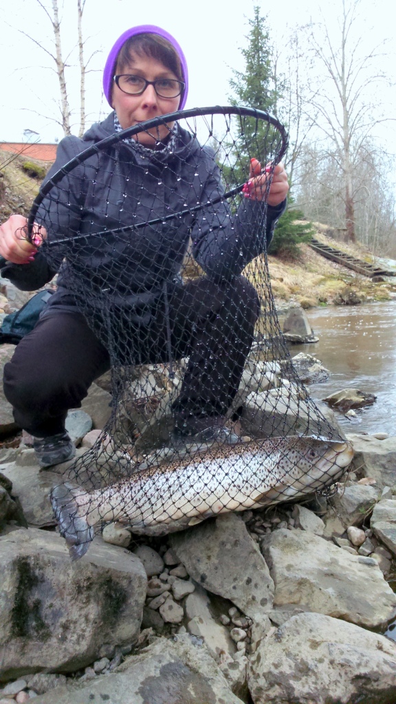 Toukokuun avaus +60 talvikko / C&R