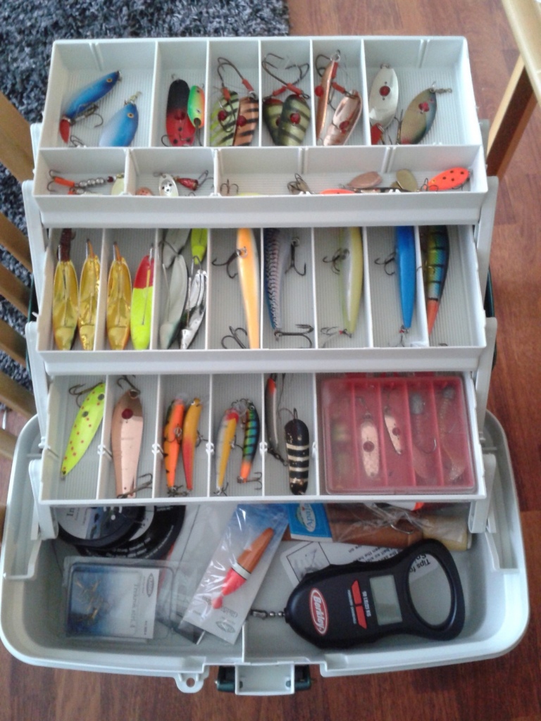 Pakki 2012