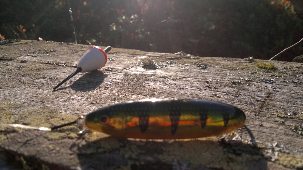 Minnow spoon ja koho