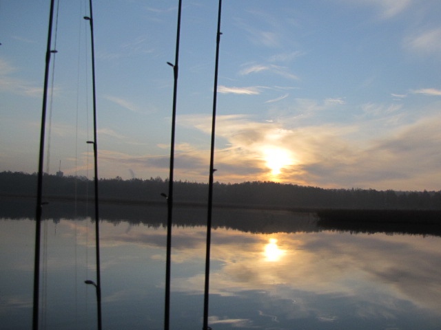 Kuhaa jigaamaan merelle aamuauringon nousussa