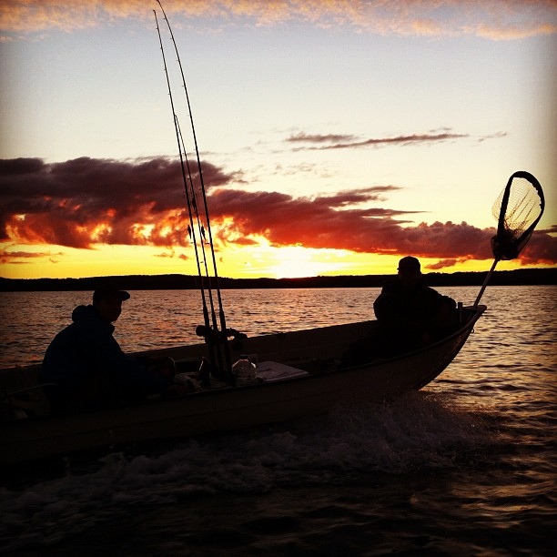 Auringonlaskun Ratsastajat