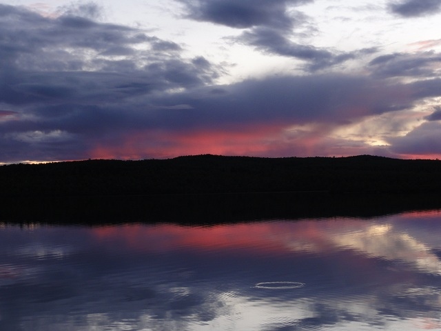 Tuikki (Rautuj�rvi, elokuu 2011)