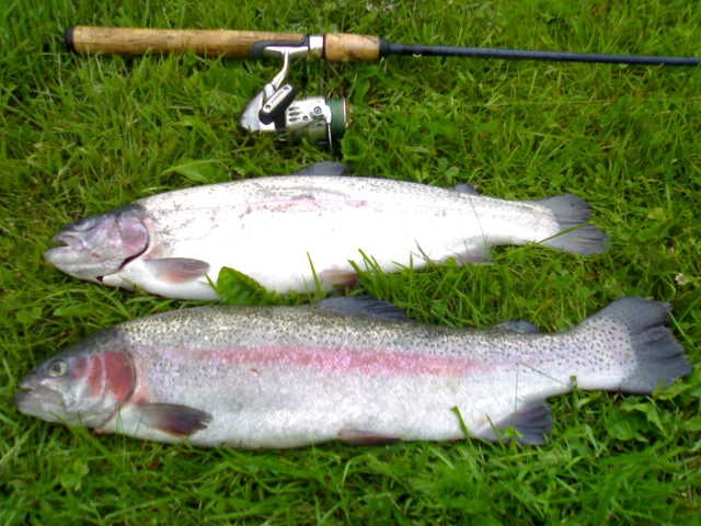 Juhannuskalat