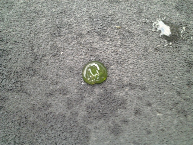 Tuommoisia paljon katiskassa. Mit� nuo ovat?