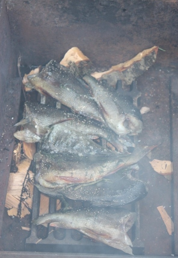 Hempan herkut