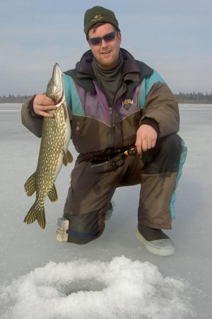 Morrihauki 2,75kg Raippaluoto -08
