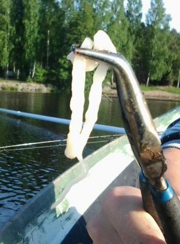 Mik� t�� on? tarttu kaverin vieheeseen pohjan tuntumasta