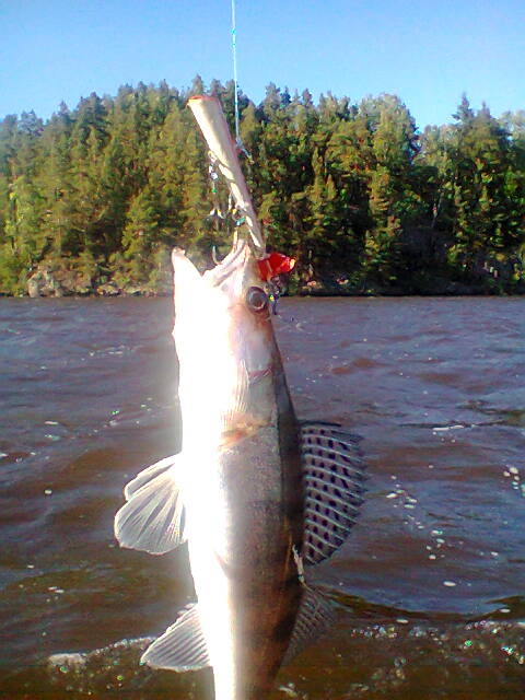 Itse maalaamaan otti alamittanen :)