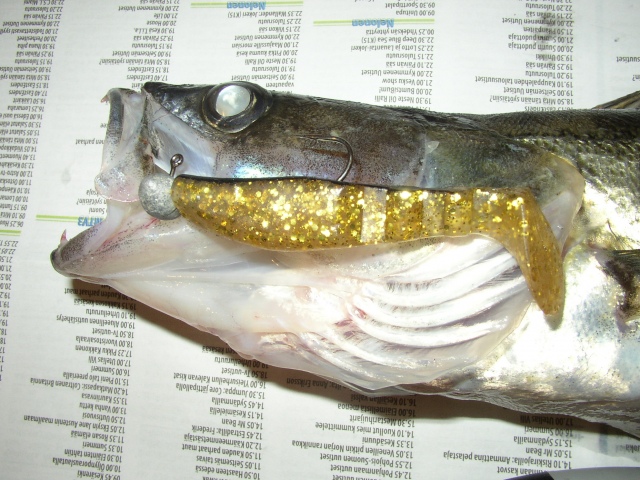 Kuha saatu gulpilla