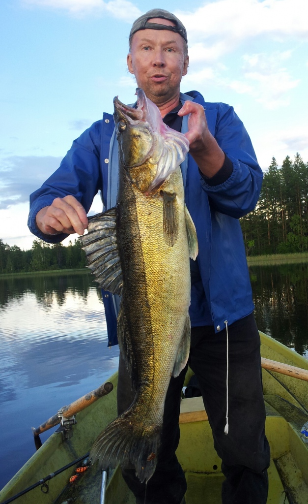 82 cm, 4.7 kg kuha 20 cm vaapulla. Isoon ottaa :-)