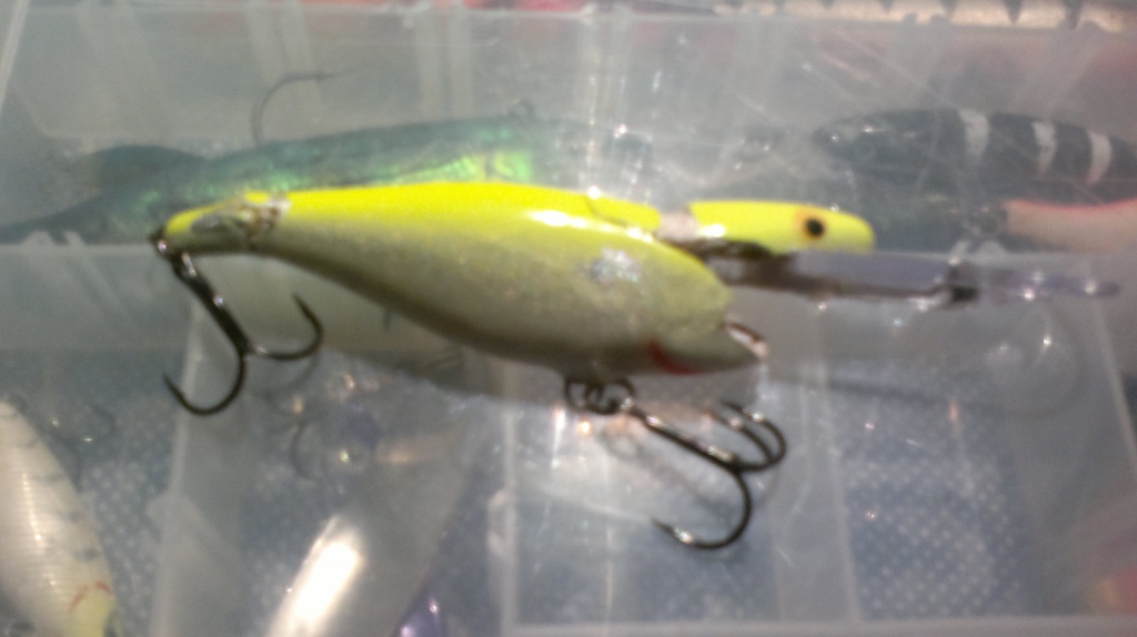 hajonnu rapala.