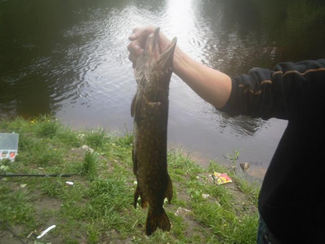 Tuollaanen jys�hti uistimeen