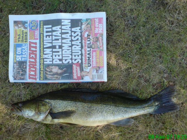 Viel� enn�tys kuhasta kuva..