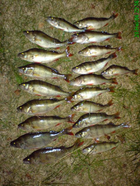 Viime kes�lt� my�s ahven kuva..