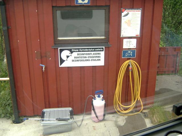 Desifiointia (meilt� desifioitiin kahluukeng�t, kahluuhousut, perhot, perhokelat)