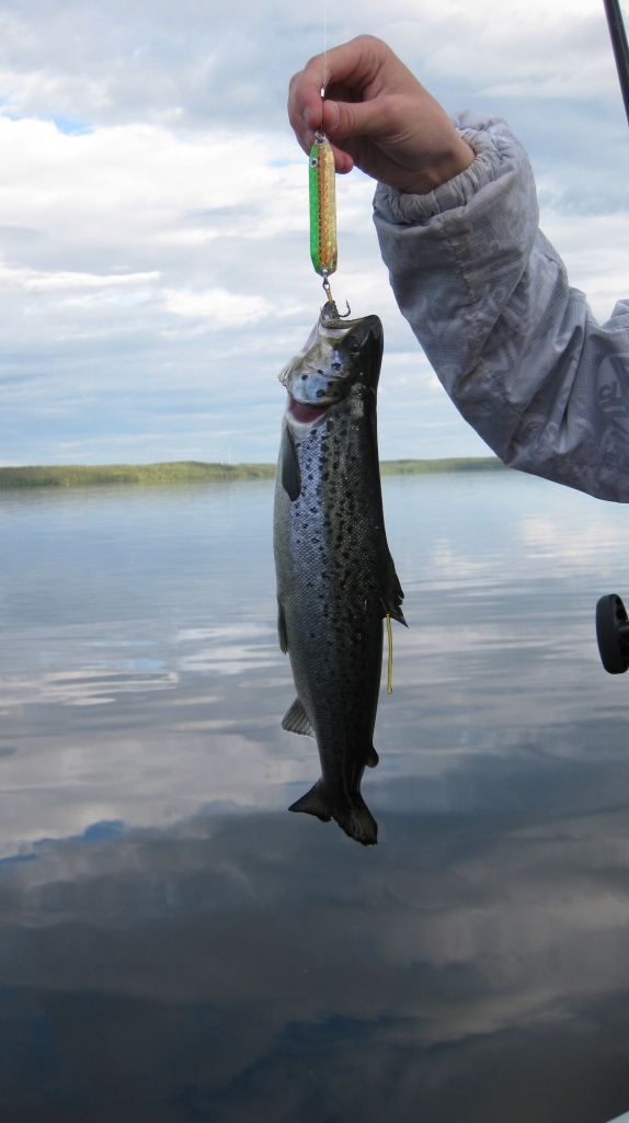 Tyynen kelin pieni j�rv�ri