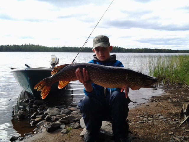 8,5kg hauki pitk�lt�j�rvelt�