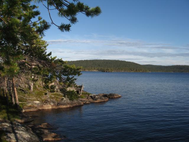 Inari (Hein�kuu 2008)